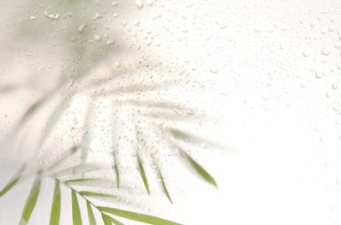 Blurred palm leaves viewed through a high humidity area's window dotted with raindrops, conveying a serene, rainy day atmosphere.